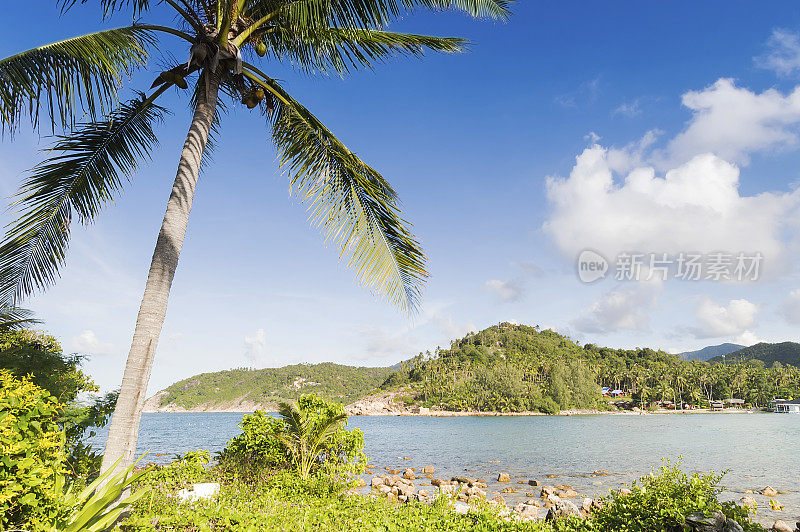 Mae Haad海滩和Koh Ma岛在Ko Phangan